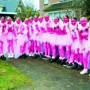 Kleurrijke carnavalsoptocht trok door de straten van Weerselo