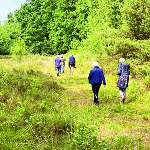 Natuurwandeling georganiseerd door de werkgroep Natuur van Heemkunde Denekamp een verslag.