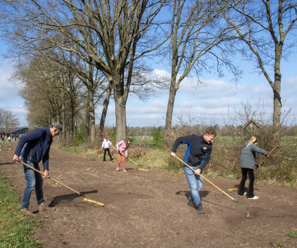 Dinkellandse jeugd zet zich in voor bijen en vlinders