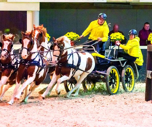 Indoor Mennen Denekamp met finale Euregio Cup 2024