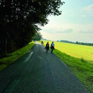 Wandelvierdaagse niet meer weg te denken evenement...