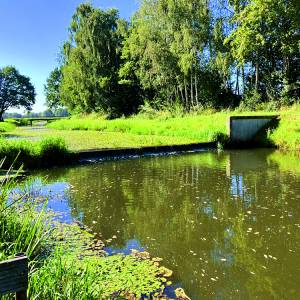 Aan de slag met de wateropgaves rond de Geele beek