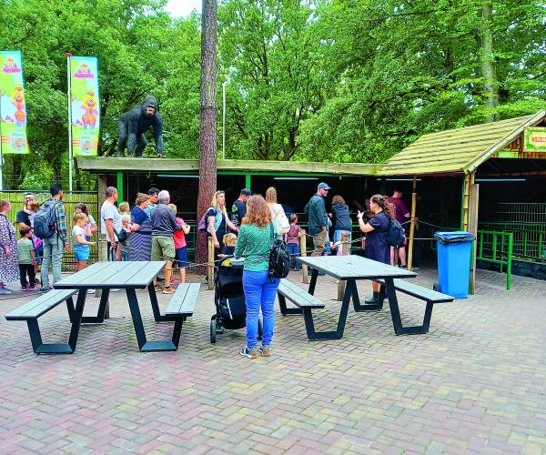 Caritas en de Waarbeek