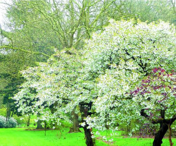 Wandeling Landgoed Singraven te Denekamp