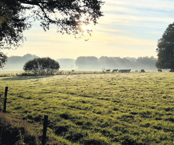 Wederom genieten van de herfst in Beuningen