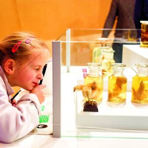 Vakantieprogramma Museum Natura Docet toont weer aan waarom dit museum beste Kidsproof-museum van Overijssel is!