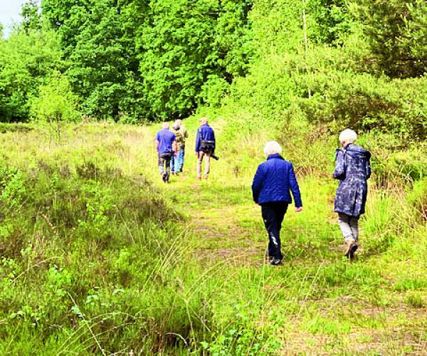 Natuurwandeling georganiseerd door de werkgroep Natuur van Heemkunde Denekamp een verslag.