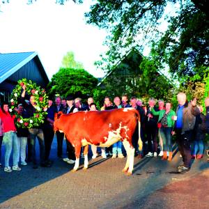 Bruidskoe Agnes op feestelijke manier aangeboden op Erve Koekoek Saasveld